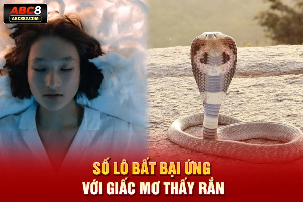 Số lô bất bại ứng với giấc mơ thấy rắn
