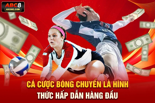 Cá cược bóng chuyển là hình thức hấp dẫn hàng đầu